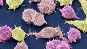 Google sucht bald auch im menschlichen Körper 