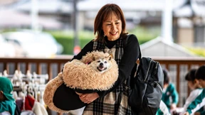 Berühmte Meme-Hündin Kabosu ist tot