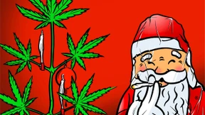 Kiffen für  die Freiheit