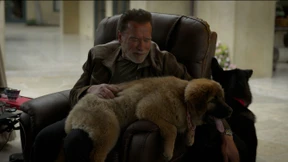 Das ist im Juni neu auf Netflix, Amazon Prime und Disney+