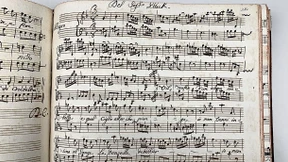 Ein unglaublicher Glücksfall