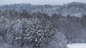 Mit General Nachtigall gegen die Wehrmacht