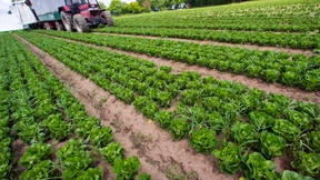 Institutionelle Anleger entdecken den Landbau