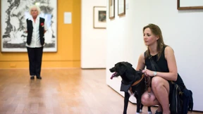 Hundeführungen im Museum