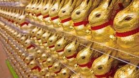 Deutsche Goldhasen für Amerika