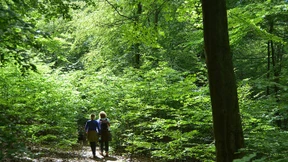 Mit der Wander-App über Stock und Stein 