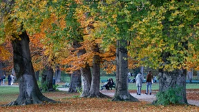 Gericht prüft Cannabis-Verbot im Englischen Garten