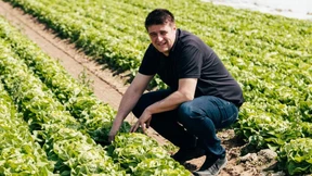 Ein Dach für zehn Hektar Anbaufläche