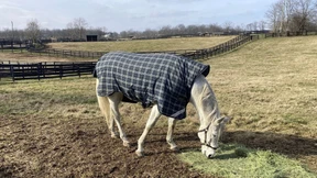 Zu Besuch in Kentucky