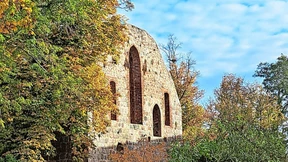 Nichts wie raus aus Berlin!