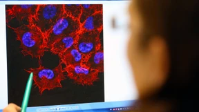 Entmutigen ist das falsche Rezept