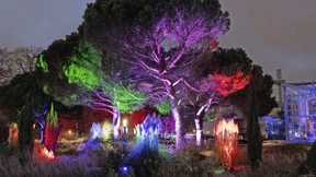 Faszinierende Lichtkunst