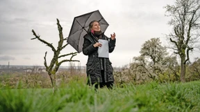 Blütenpoesie in Bergen