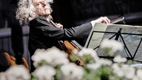 Beethoven auf dem Baronensitz