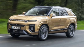 Koreanischer Actyonismus