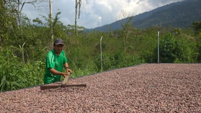 Auf die Bohne kommt es an