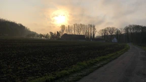 Wenn auf einmal alles schwerfällt