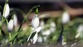 Am Wochenende kann es bis zu 20 Grad warm werden