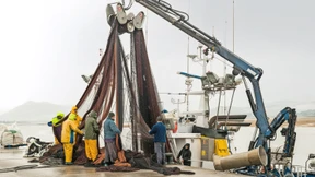 Der Fisch der Freude