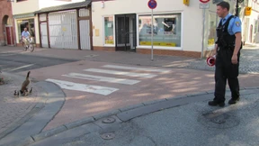 Rosi und die Automatenknacker 