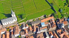 In der Hecke und uff de Gass