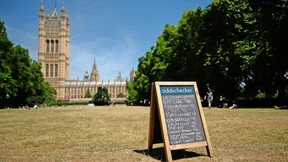 Der Elefant im Schlammloch