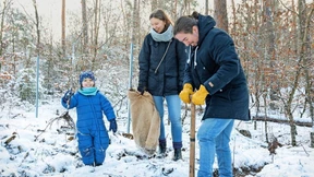 Vertraut mit Hitze und Trockenheit