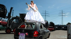 Nach der Party kommen die Huskys