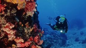 Guter Dünger, schlechter Dünger