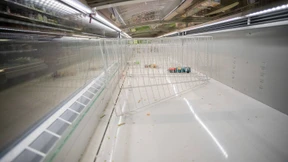 Die Deutschen kaufen mehr und größere Gefriertruhen