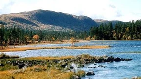 Brückenstürze, Zwergenfallen