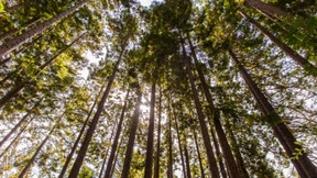 Der Tech-Pionier der Nachhaltigkeit