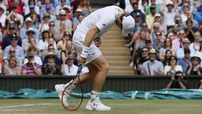 Die verwundbaren Vier