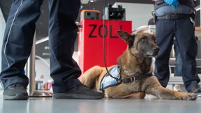 Cannabis im Gepäck ist überall auf der Welt gefährlich