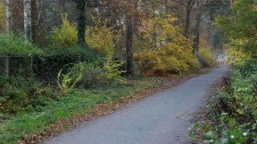 Ein ordnungsgemäßes Leben