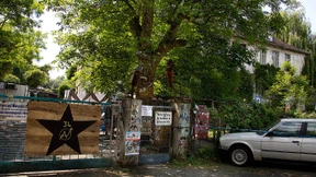 Autonome zahlen nichts