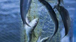 Bundesregierung will Fahrplan vorlegen