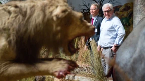 Es bedient Sie hier die Luftwaffe