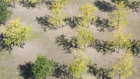 Die Dürre trocknet Teile Deutschlands aus