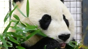 Bei Bei in China angekommem