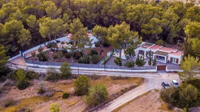 Rechtsfragen rund ums Strachevideo