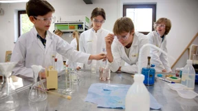 Stich in den Blutegel-Nerv