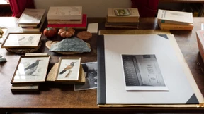 Lustkrieg und Literatur