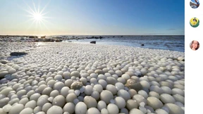 Tausende Eier aus Eis