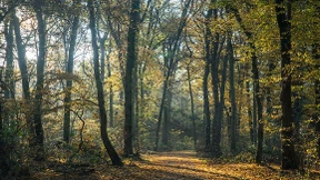 Anklage gegen Fernfahrer nach Überfall auf junge Frau