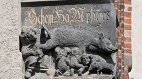 Welterbestatus Wittenbergs wegen „Judensau“ aberkennen