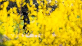 Bis zu 20 Grad im schönen Hessenland möglich