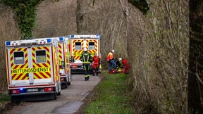 Nach Baumunglück mit drei Toten suchen Ermittler nach Ursache