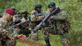 Krieg um die Tierwelt