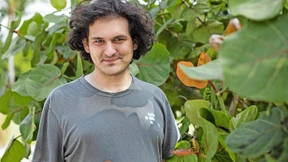 Einfach zu schön, um wahr zu sein